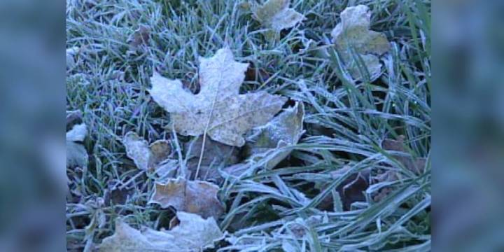 Blast from the Past: Watertown’s first frost in 2002