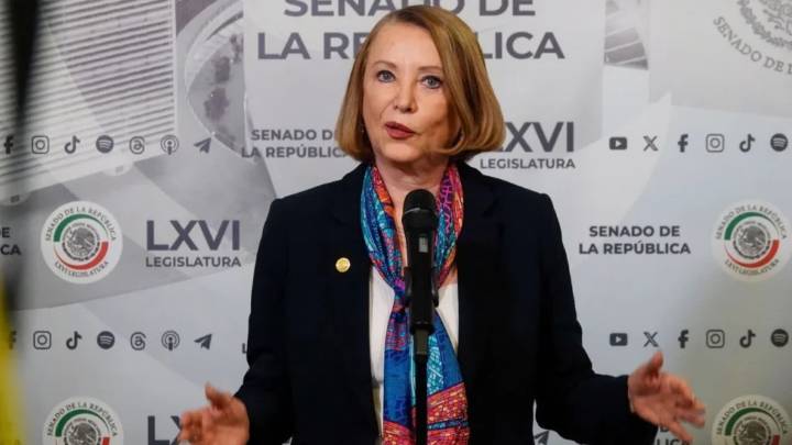Laura Itzel Castillo propone que senadores donen parte de su salario a damnificados