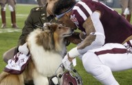 Texas A&M Pays Tribute to Reveille IX After Aggies’ Retired Mascot Died Due to Complications Mike Elko and Texas A&M come up with a heartfelt move during their game against Mississippi State for their