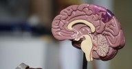 NCJW/CLE brain health talk Oct. 16