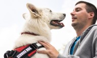 Estas son las diferencias entre animal de servicio y animal de apoyo emocional