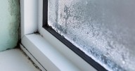 Home Bargains' 79p buy has been a game changer for damp and mould in my home
