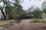 FOTOS | Vecinos de Los Juríes muestran el impacto del temporal: calles anegadas y árboles arrancados de raíz