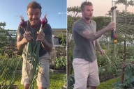 Victoria and David Beckham Show Off Their 'Impressive' Home Garden at English Estate