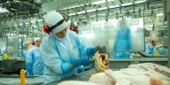 Luego de un brote, la Argentina volvió a ser libre de influenza aviar y retomó sus exportaciones