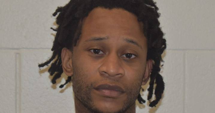 Preliminary hearing set for suspect in tragic slaying of retired Auburn University professor Julie Gard Schnuelle
