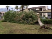 Microburst causes serious damage across Tempe