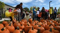 Libertyville, Fox Lake residents enjoy Pumpkin Jubilee Sunday