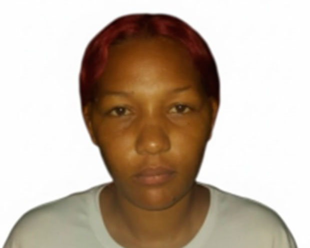Detenida una fémina requerida por homicidio en Miranda