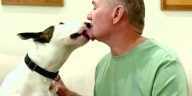 Dog left tied to chain during Hurricane Milton finds new loving home