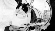 Félicette: la increíble historia de la primera gata que viajó al espacio y fue olvidada por la historia
