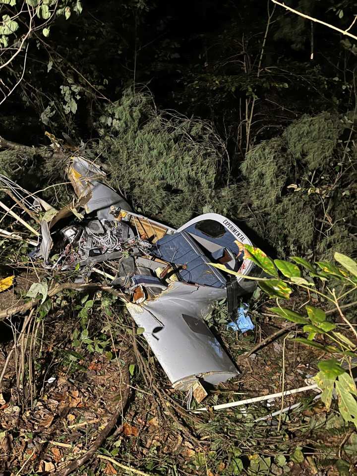 Pilot rescued after single-engine plane crashes in heavy woods near Orange/Lawrence County line