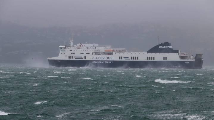 Man killed by tree branch, pedestrian blown into road as storm buffets Wellington, New Zealand
