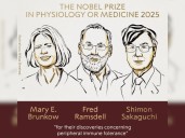 Mary Brunkow, Fred Ramsdell y Shimon Sakaguchi galardonados con el Nobel de Medicina 2025