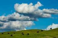 Yucaipa group submits 2nd petition to send warehouse zoning ordinance to voters