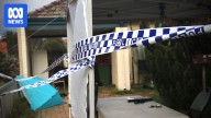 Peter Damjanovic pleads guilty to Tiffany Woodley's murder in Bedford home