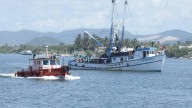 Enfrentan pescadores un panorama de violencia, abandono e incertidumbre: Paloma Sánchez