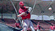 LVBP: Cardenales de Lara se alista para sus primeros encuentros de pretemporada