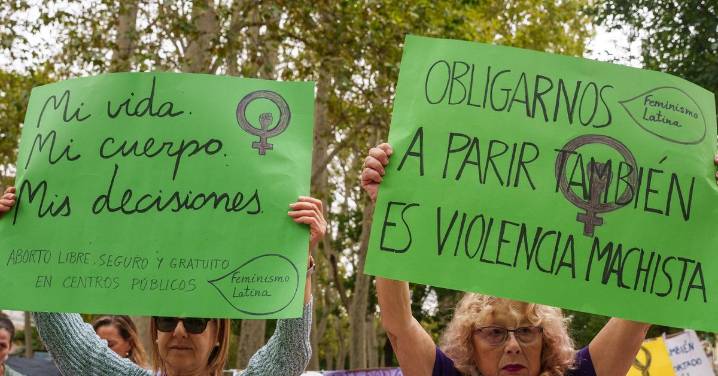 El Gobierno propone incluir el derecho al aborto en la Constitución española