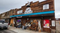 White Wolf In Douglas Has A New Owner, But You Can Still Get A Shot For A Bullet