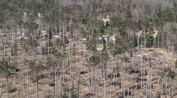 Northern Michigan to get $14 million for ice storm recovery efforts