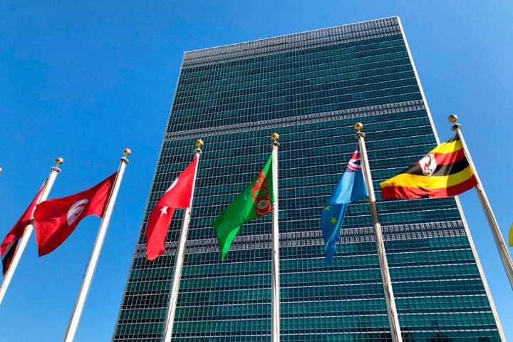 The UN refuses to reform