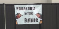 Pheasants for the Future investigation ‘potential misuse of club assets’