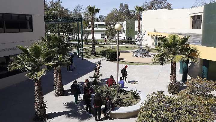 Con más de mil investigadores, UABC es líder en el noreste del país