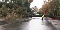 Major Buckhead road blocked by massive tree, downed power lines