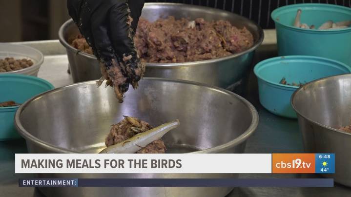 EXPLORING THE CALDWELL ZOO: Making meals for the birds