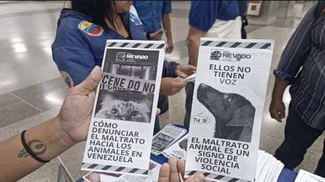 Metro de Caracas inicia campaña de concientización sobre maltrato animal