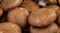 How To Ensure Your Portobello Mushrooms Don't Come Out Soggy