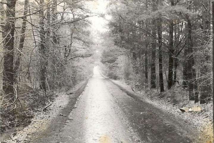 Tyler’s Haunted Werewolf Road: Stories & Memories