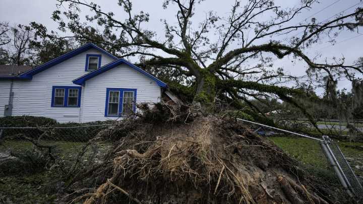 As farmers wait for Hurricane Helene relief, UGA expert reviews toll on agriculture