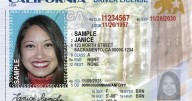 Here's the latest design for the newly issued California driver's license