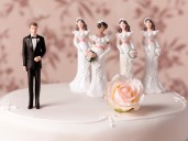 ‘Seeking Sister Wife’ season 6, episode 6: Free streaming options for today