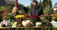 In the Garden: key fall preparation tasks for a thriving spring garden