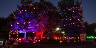 Cincinnati Zoo brings back Tri-State’s largest illuminated pumpkin show