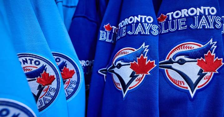 Blue Jays World Series merch boosts e