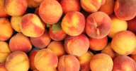 Moonlight Yellow and White Peaches Recalled for Listeria Risk