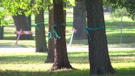 Runners will see blue and green ribbons along TC Marathon route for Annunciation