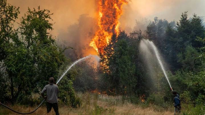 Incendios destruyen 6 mil hectáreas en Córdoba: ruralistas exigen acción inmediata