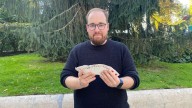 El arte de sorprender del mago asturiano Sergio Fernández: «Es muy difícil crear un truco nuevo»