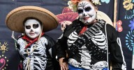 HOTT keeps Día de los Muertos spirit alive despite weather challenges
