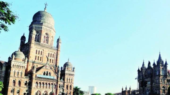 1,244 trees to be affected for second phase of coastal road: BMC to approach high court to get nod for clearance