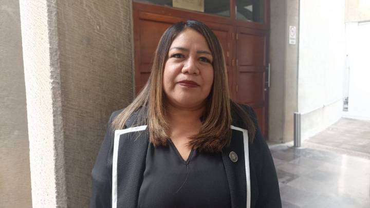 Congreso no irá a sesiones extraordinarias; desahogarán agenda y pendientes en tiempo y forma: León