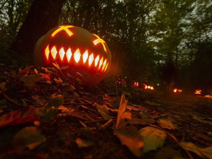 Decoración de Halloween para exteriores 2025: las ideas más increíbles y virales