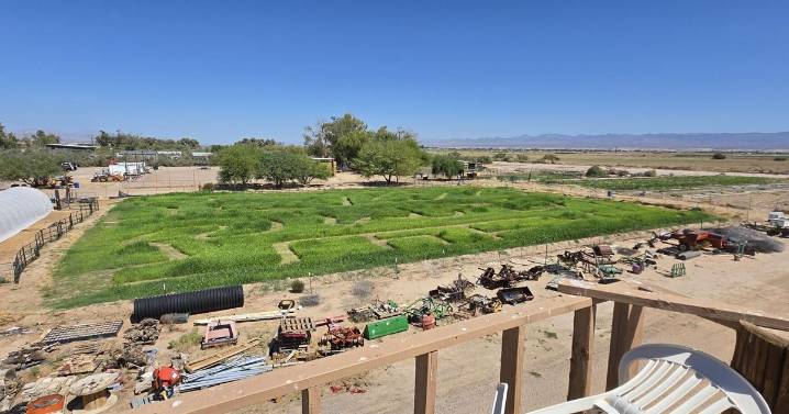 From a picnic table to a thriving farm store, Triple Farms Produce is a treasured local gem in Mohave Valley