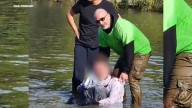 Retired officer jumps in East River to help save mother reportedly drowning baby