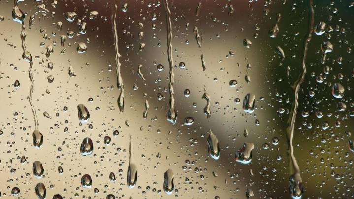 How much did it rain in Louisville?